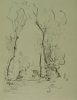 1930-1940 ca. -Alberi